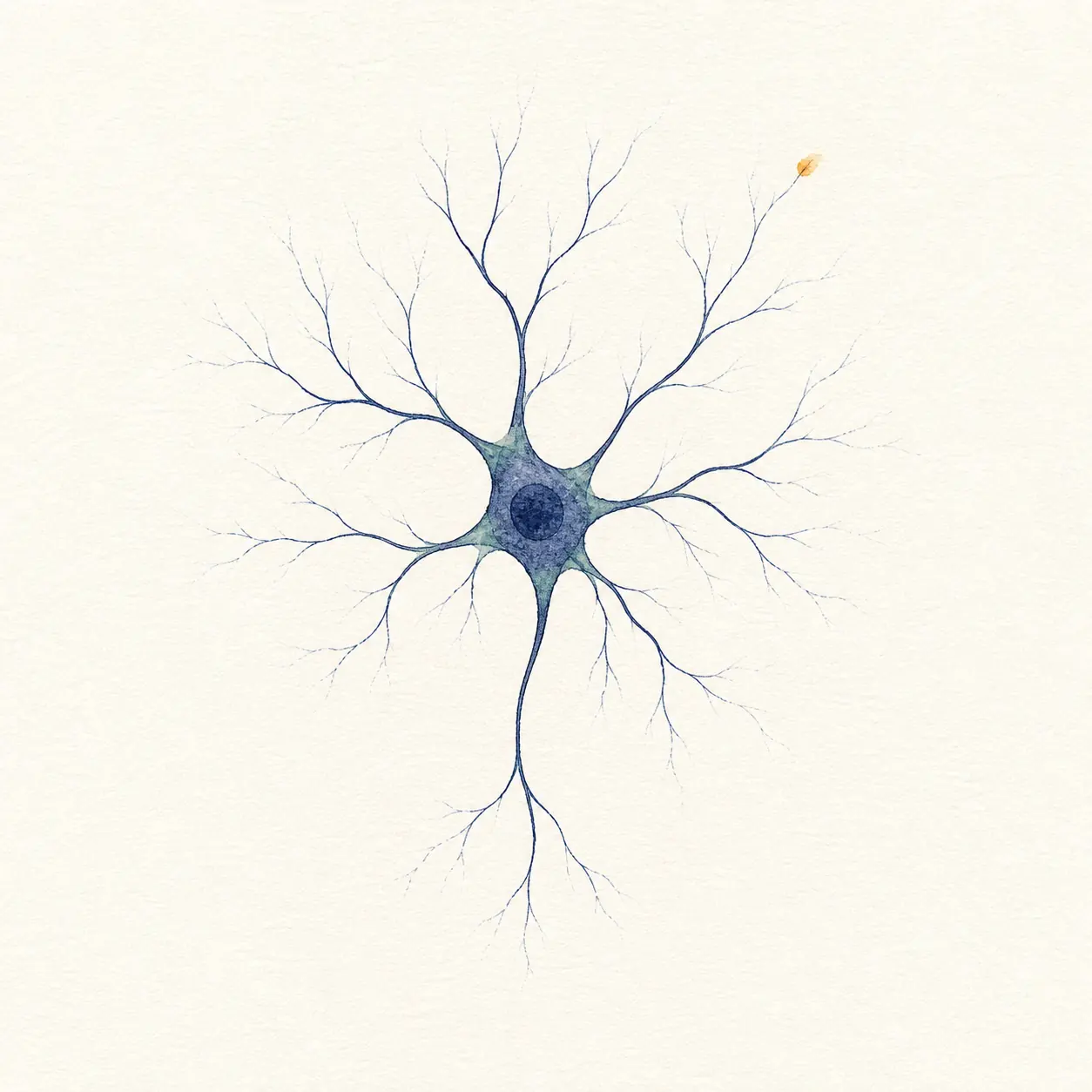 Watercolor illustration of a nerve cell with fine branching fibers