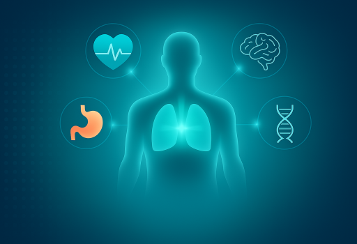 Abstract medical illustration of a glowing human silhouette with connected health icons (heart, gut, brain, DNA), symbolizing whole-body functional medicine and root-cause care in Jacksonville.